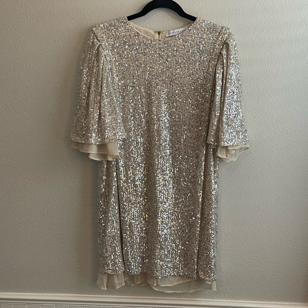 Endless Rose Sequin Dress